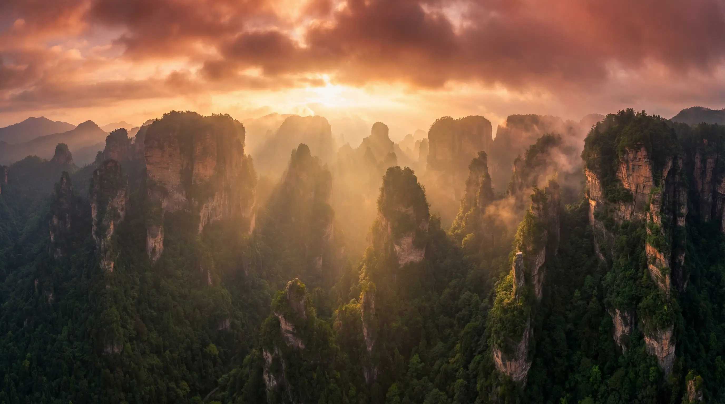 风犬少年的天空在线播放免费 自然风光视频封面